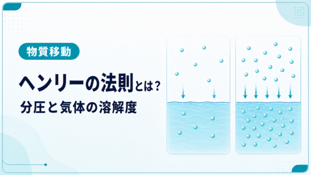 気相分圧の増加に比例して液相中の溶存分子が増えるヘンリーの法則を示した模式図