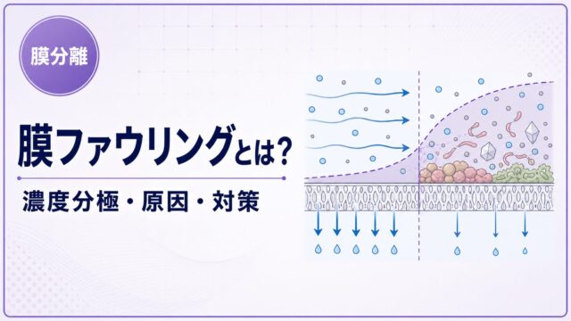 膜ファウリングと濃度分極による透過流束低下を示すアイキャッチ画像