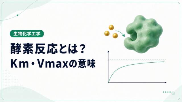 酵素への基質の結合と、基質濃度を増やすと反応速度が頭打ちになる曲線を描いた酵素反応の記事アイキャッチ